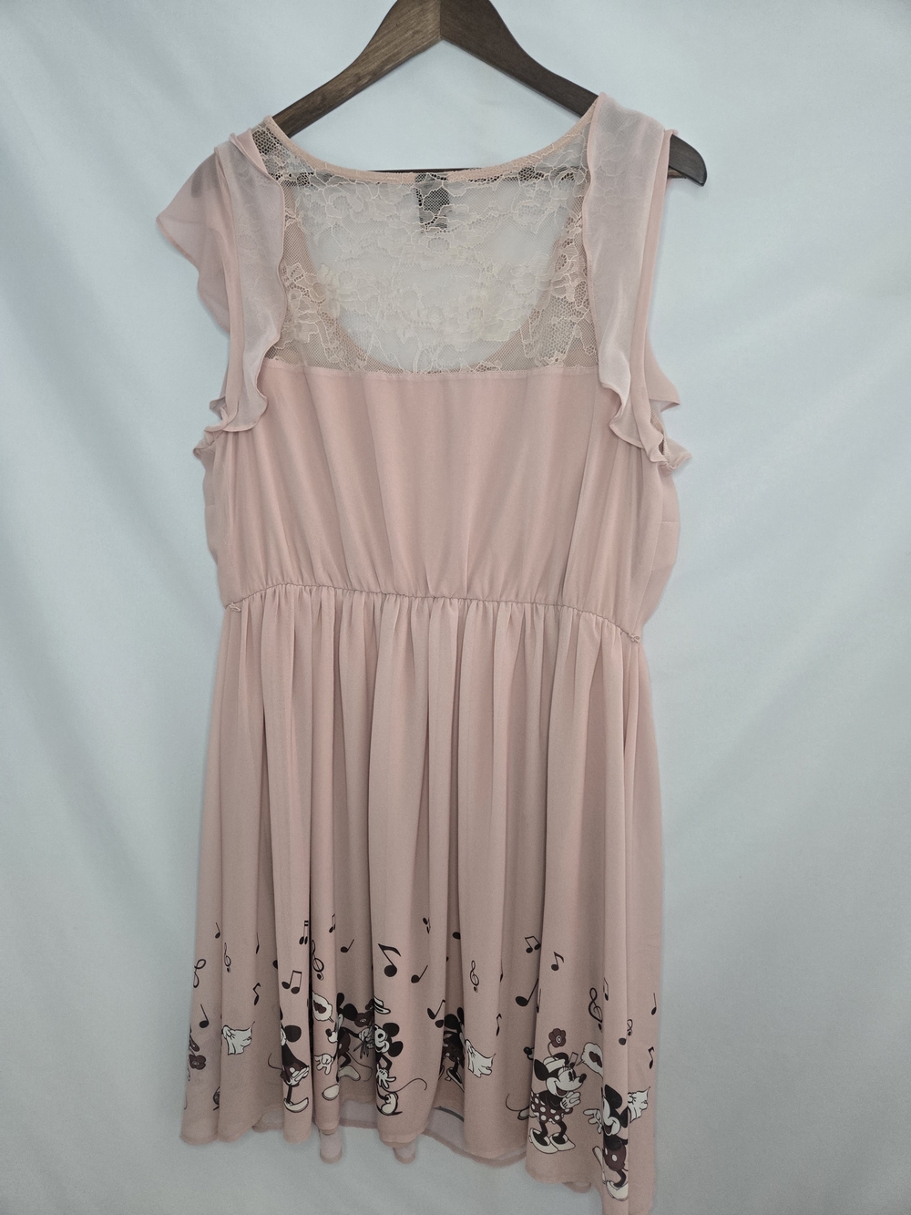 Torrid Disney Minnie Mouse Pink Lace Chiffon Skater Dress Size 2 / 2X 18 20